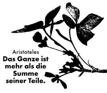 Das Ganze ist mehr als die Summe seiner Teile.