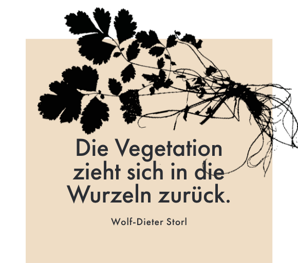 Zitat: Die Vegetation  zieht sich in die Wurzeln zurück.