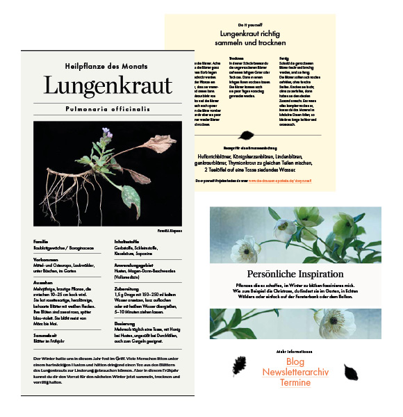 Die-draussen-Apotheke_Website_Newsletter